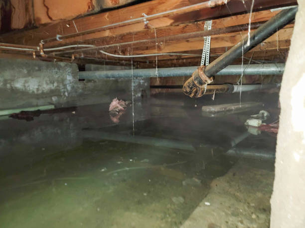 Best 24/7 water damage repair  in Lake Forest, CA