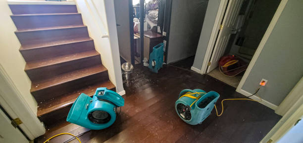 Best 24-hour water damage restoration  in Lake Forest, CA