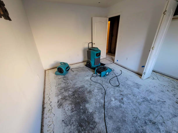 Best Water damage restoration near me  in Lake Forest, CA