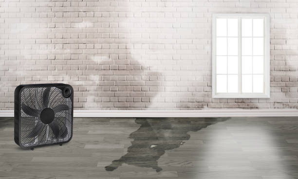 Best Residential water damage restoration  in Lake Forest, CA