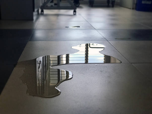 Best Water damage mitigation services  in Lake Forest, CA