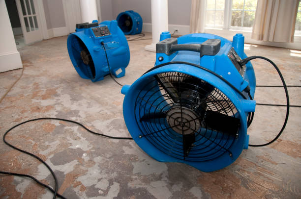 Best Sewage cleanup and water damage restoration  in Lake Forest, CA