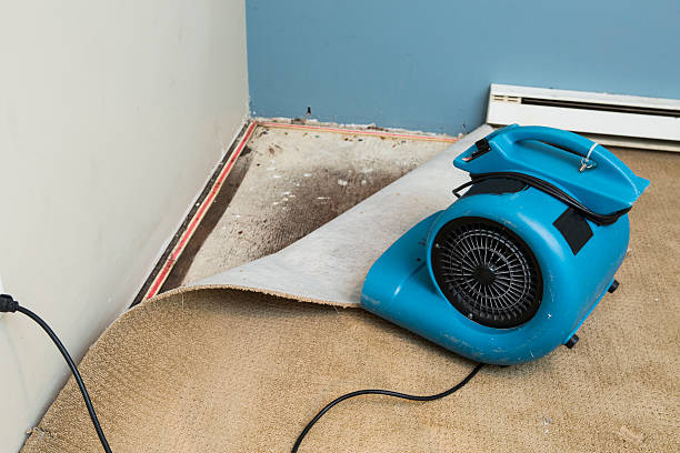 Best Commercial water damage restoration  in Lake Forest, CA